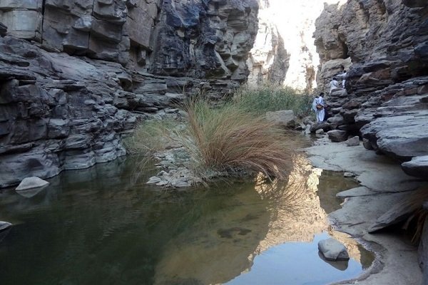 شناسایی زیستگاه جدید پلنگ و خرس در جنوب سیستان و بلوچستان 