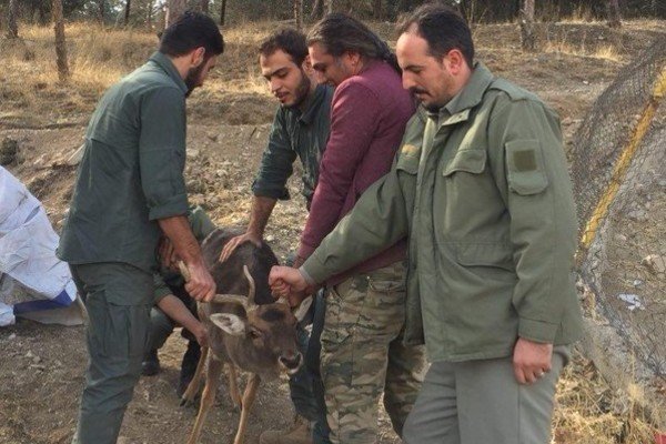 Wildlife conservation center closed in Tehran