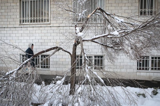 تهران یک روز پس از بارش برف