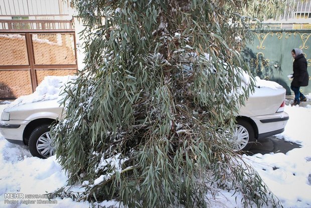 تهران یک روز پس از بارش برف