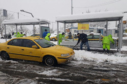 راه اندازی ۴۲ایستگاه درخت تکانی هنگام بارش برف در تهران