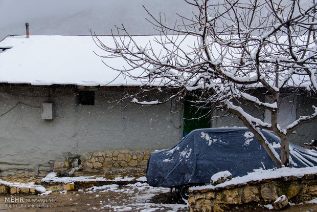 Snowfall in Gorgan