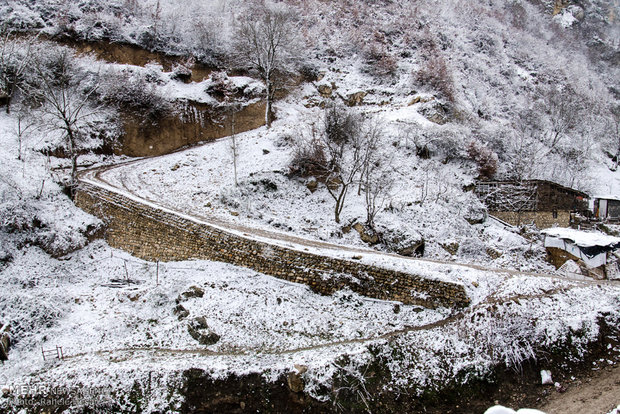 Snowfall in Gorgan