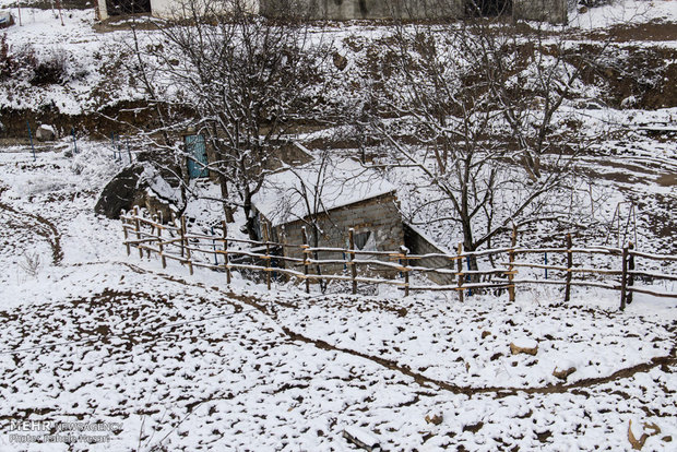 Snowfall in Gorgan