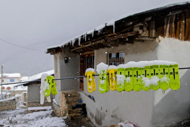 Snowfall in Gorgan