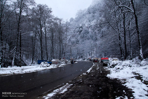 Snowfall in Gorgan