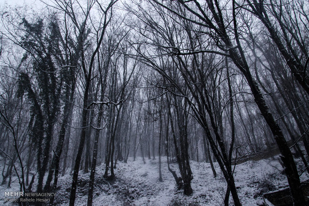 Snowfall in Gorgan