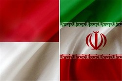 Iran's non-oil exports to Indonesia grow by 217%