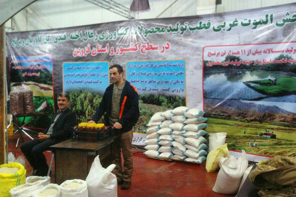 نمایشگاه روستا در قزوین افتتاح شد