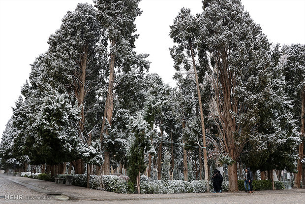 الثلج يغطي حديقة " فين " في كاشان