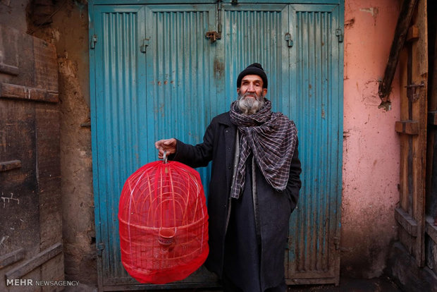 بازار پرندگان در کابل‎