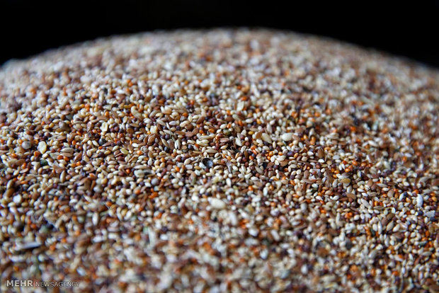 بازار پرندگان در کابل‎