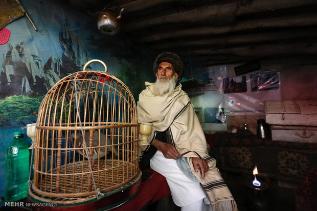 بازار پرندگان در کابل‎