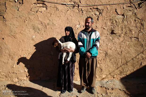 «چم شیرعلی» چشم انتظار بازگشت زندگی/نبض حیات روستا در دستان امداد