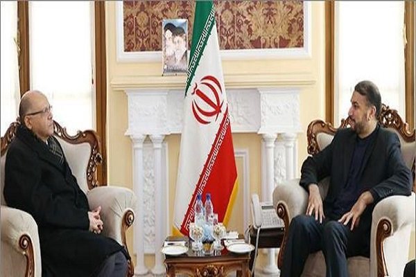 Amir-Abdollahian stresses Iran, Egypt parl. coop.