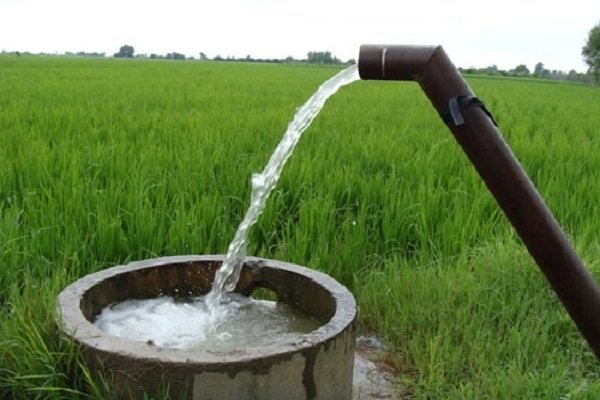 نتوانستیم در کاهش مصرف آب بخش کشاورزی تحول ایجاد کنیم