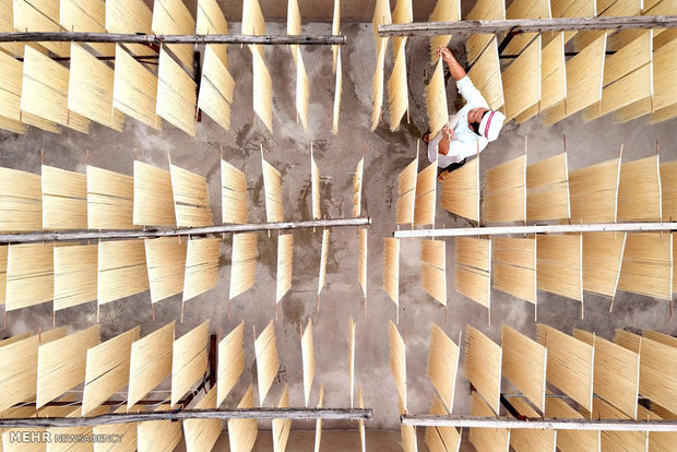 برندگان مسابقه عکاسی اسکای پیکسل 2017