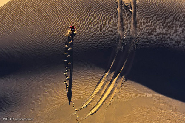 برندگان مسابقه عکاسی اسکای پیکسل 2017