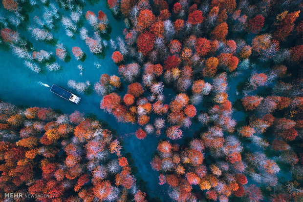 برندگان مسابقه عکاسی اسکای پیکسل 2017