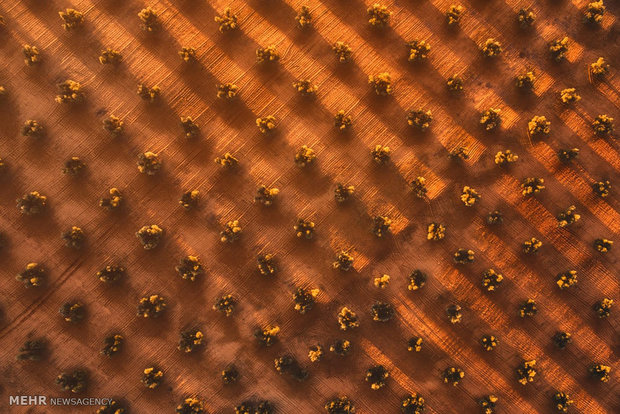 برندگان مسابقه عکاسی اسکای پیکسل 2017