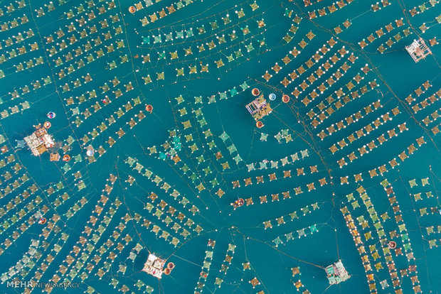 برندگان مسابقه عکاسی اسکای پیکسل 2017