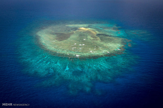 صخره های مرجانی کوئینزلند