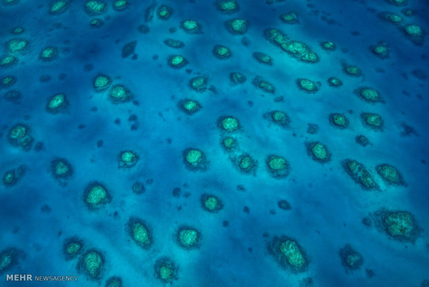 صخره های مرجانی کوئینزلند