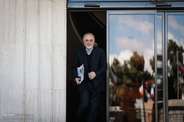 حاشیه جلسه ی هیئت دولت