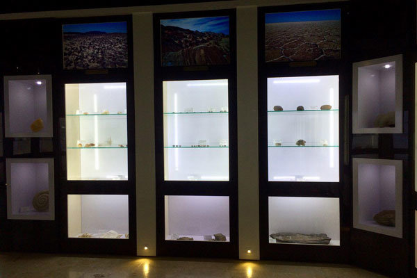 گشتی در موزه ژئوپارک طبس/ از گیاهان فسیلی تا ستاره‌های سنگی 