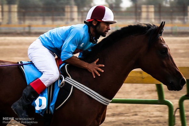 دومین جشنواره اسب و سوارکُرد در کنگاور برگزار می‌شود
