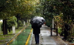 Photo by Akbar Tavakoli
