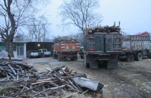 کاهش ۹۰ درصدی قاچاق چوب در بخش زواره شهرستان اردستان