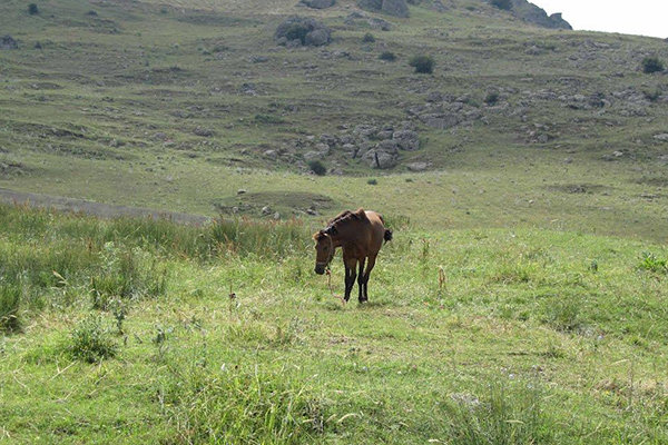 Ardabil, a getaway from scorching hot days