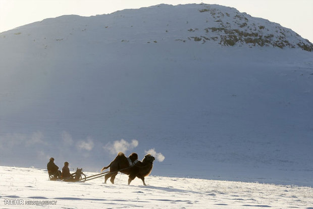 گله داران چادر نشین سیبری‎