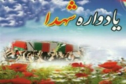 ملت ایران به برکت خون شهدا در اوج قله‌های اقتدار قرار دارد