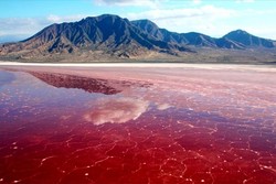 Lipar Wetland: Iran’s rare pink lake you must visit