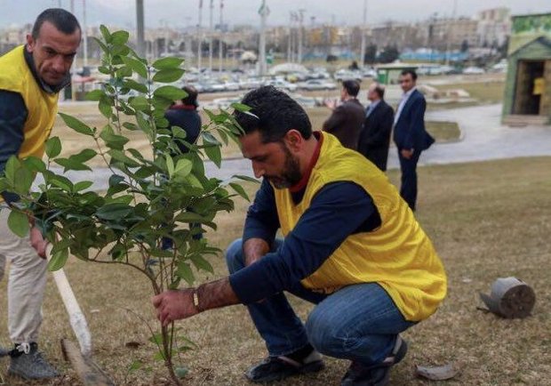 کاشت ۲۱۰۰اصله درخت به یاد شهدای مدافع حرم 