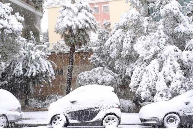 Avrupa'da yoğun kar yağışı