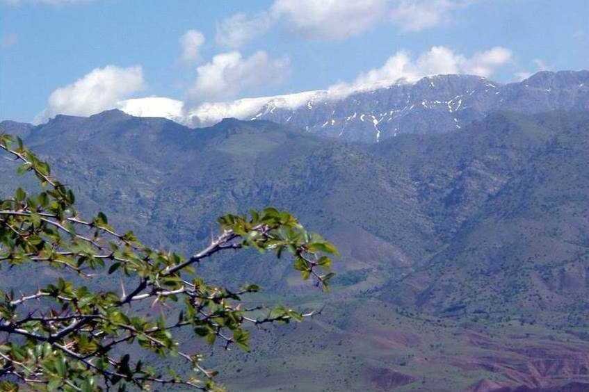 سرزمین دشتهای سرسبز میزبان میهمانان نوروزی در روز طبیعت