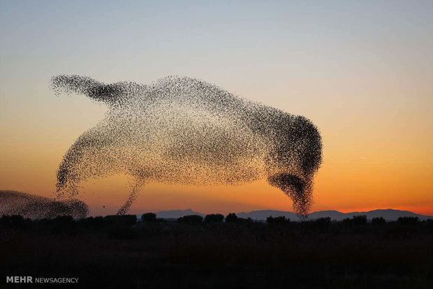 Sony yarışmasına katılan fotoğraflar