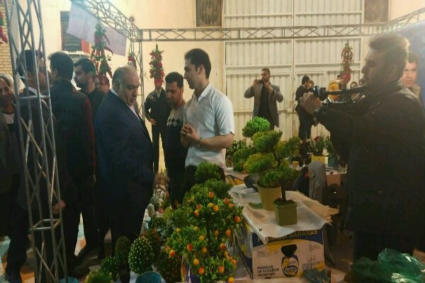 استان کرمانشاه ظرفیت‌های بسیار چشمگیری در تولید گل و گیاه دارد