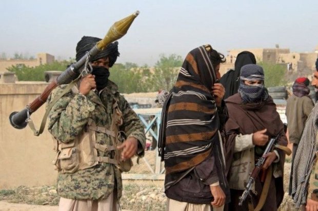 Afghan forces kill 3 insurgents in northern province 