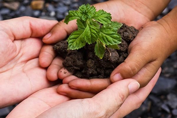 تدوین برنامه دفتر مشارکت مردمی سازمان محیط زیست برای سال ۹۷