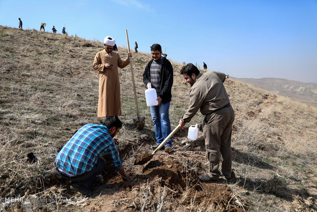 درختکاری جوانان در تپه های تلو