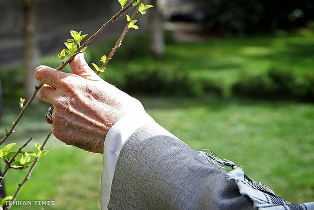 On National Tree Planting Day, Ayatollah Khamen plants tree saplings