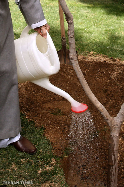 On National Tree Planting Day, Ayatollah Khamen plants tree saplings