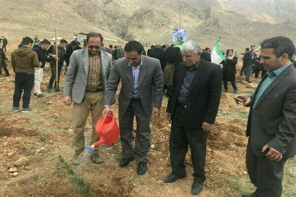 ۶۰۰۰ اصله درخت در دانشگاه رازی کرمانشاه غرس شد