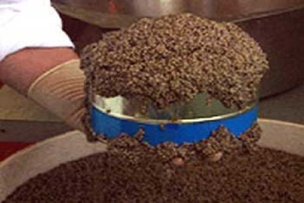 Iran's farmed caviar hits 5 tons in production, 1.2 in exports in 2017