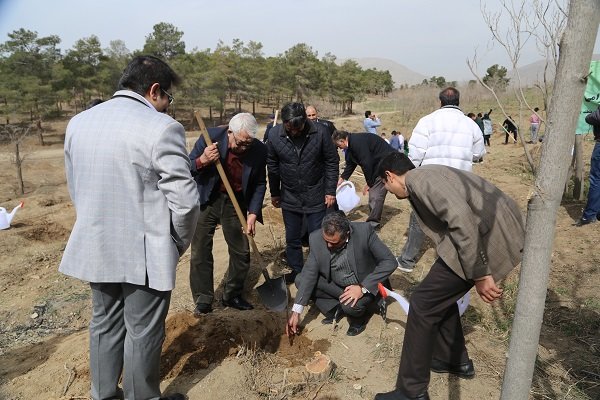 داروسازان روز درختکاری را پاس داشتند