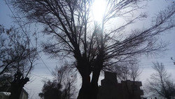 هشدار مدیریت بحران برای وقوع باد شدید و گرد و خاک در استان تهران